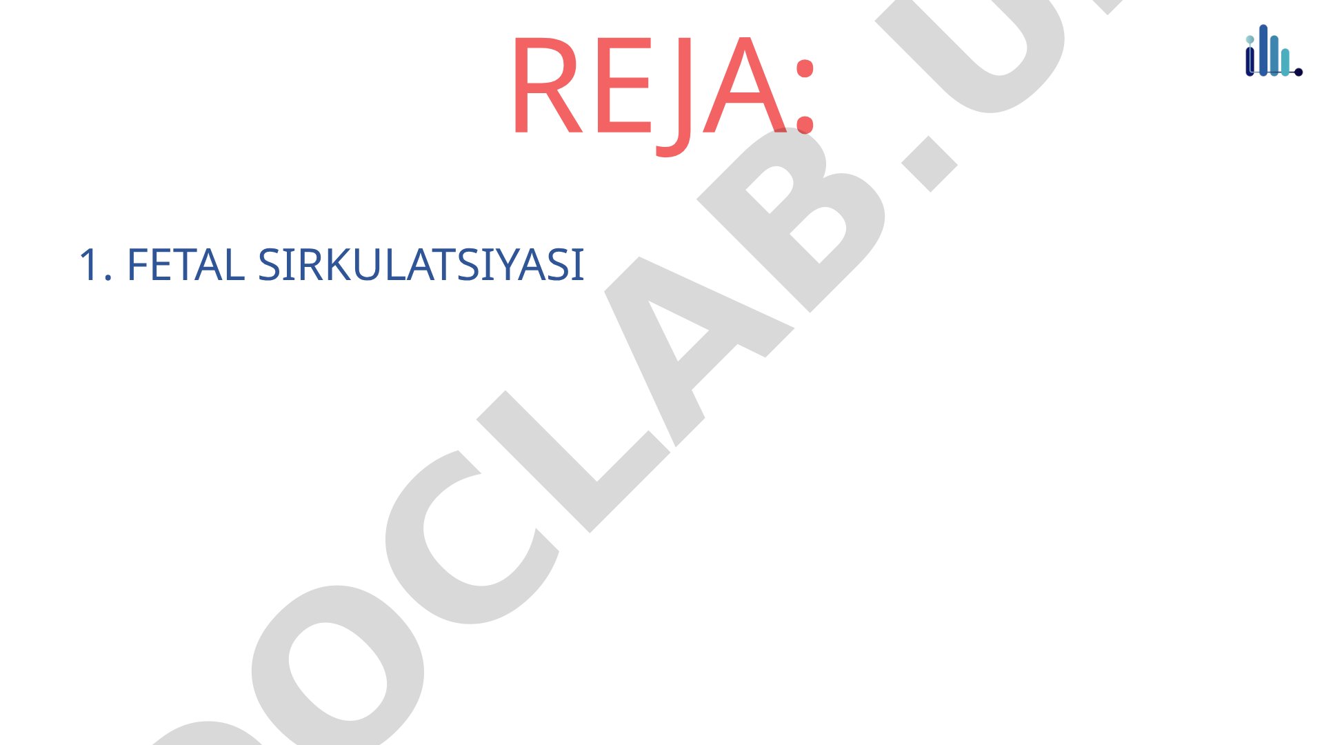 Fetal sirkulatsiyasi