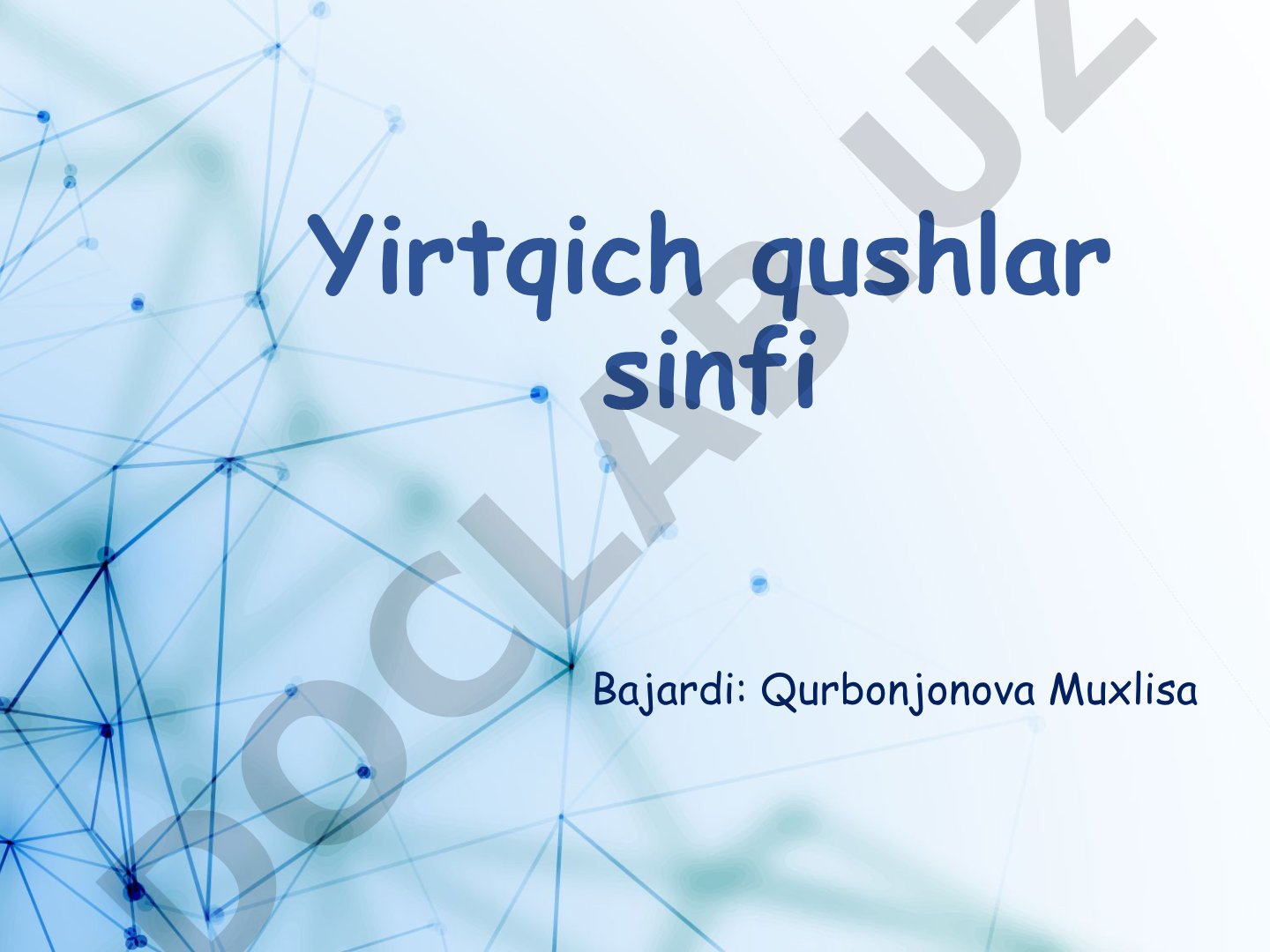 Yirtqich qushlar sinfi