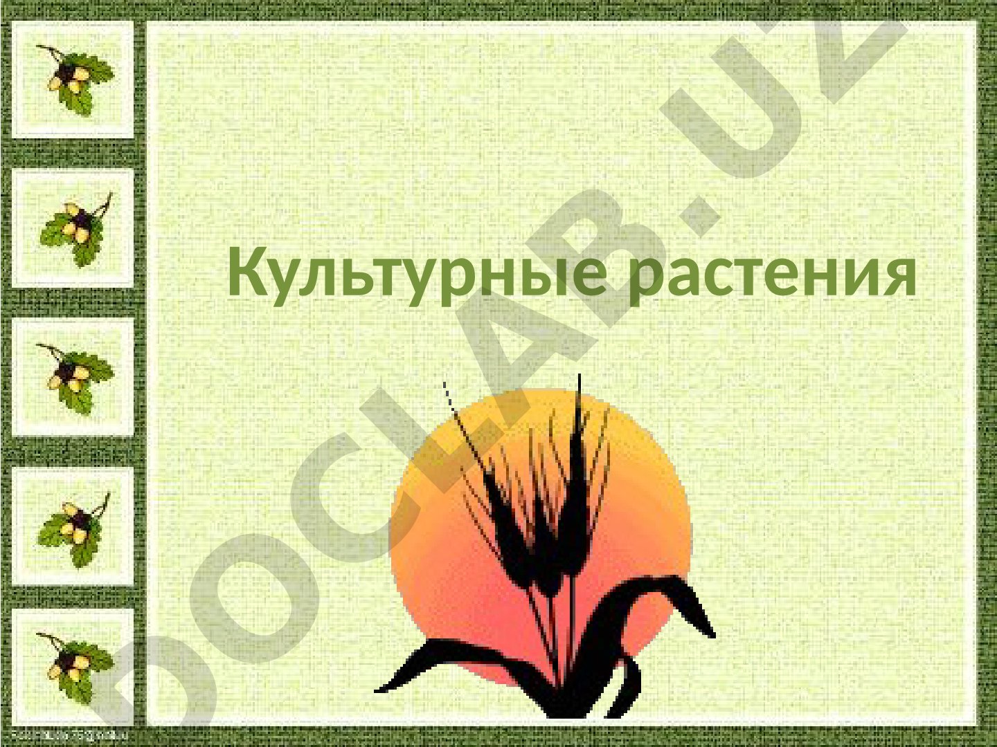 Культурные растения: плодовые и овощные