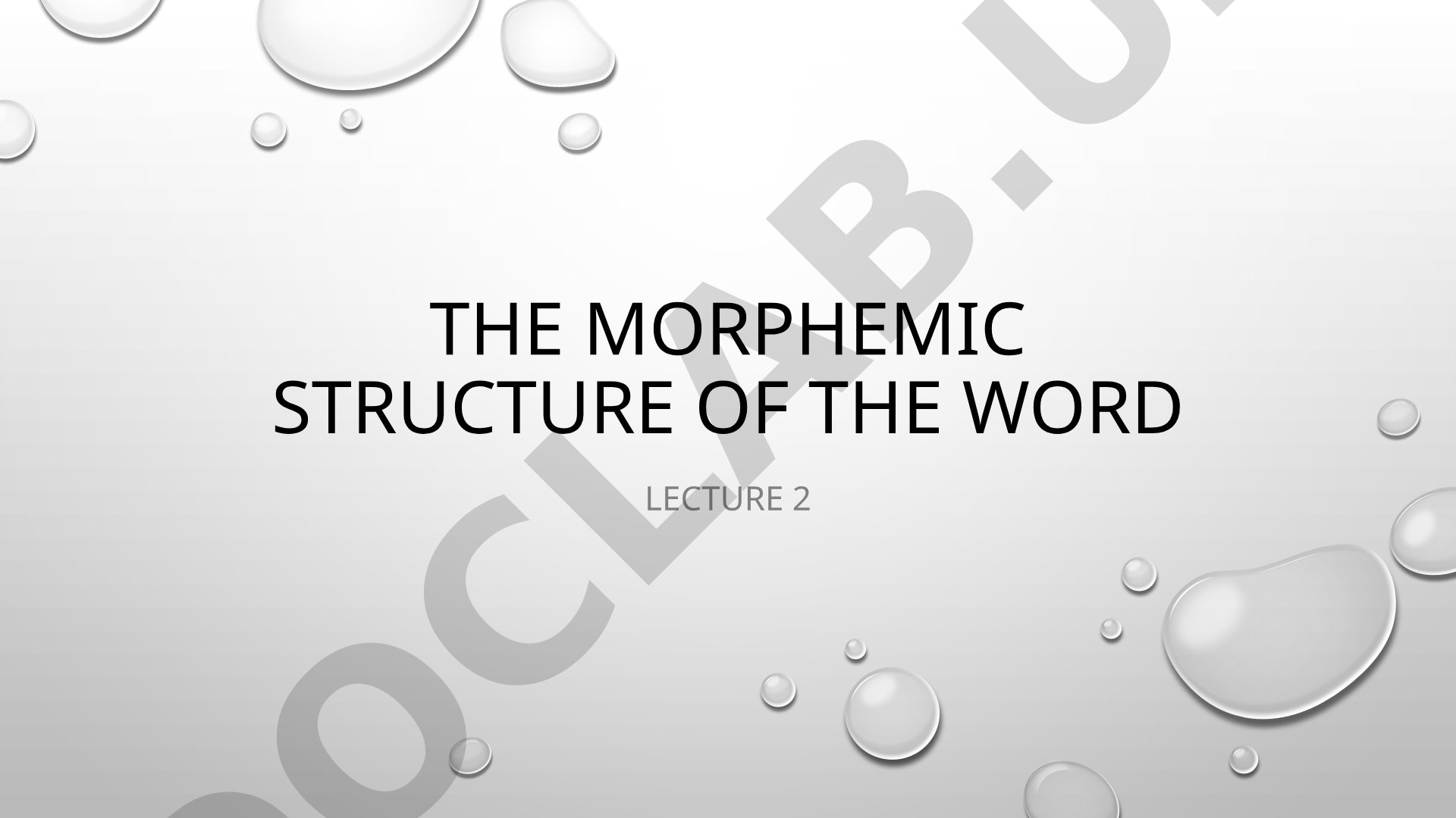 The morphemic structure of the word Lecture 2