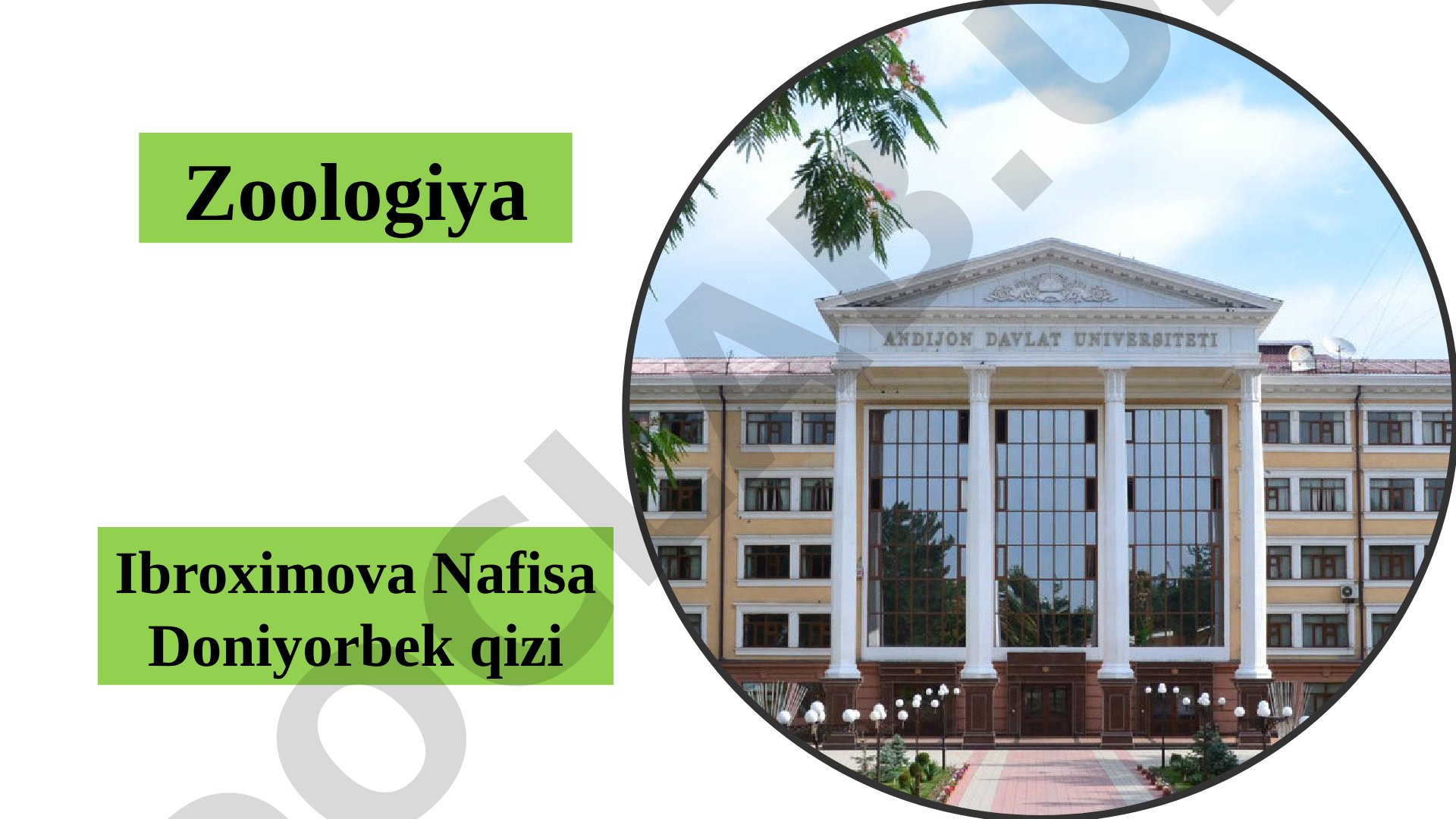 To'garak og'izlilarning tashqi va ichki tuzilishi