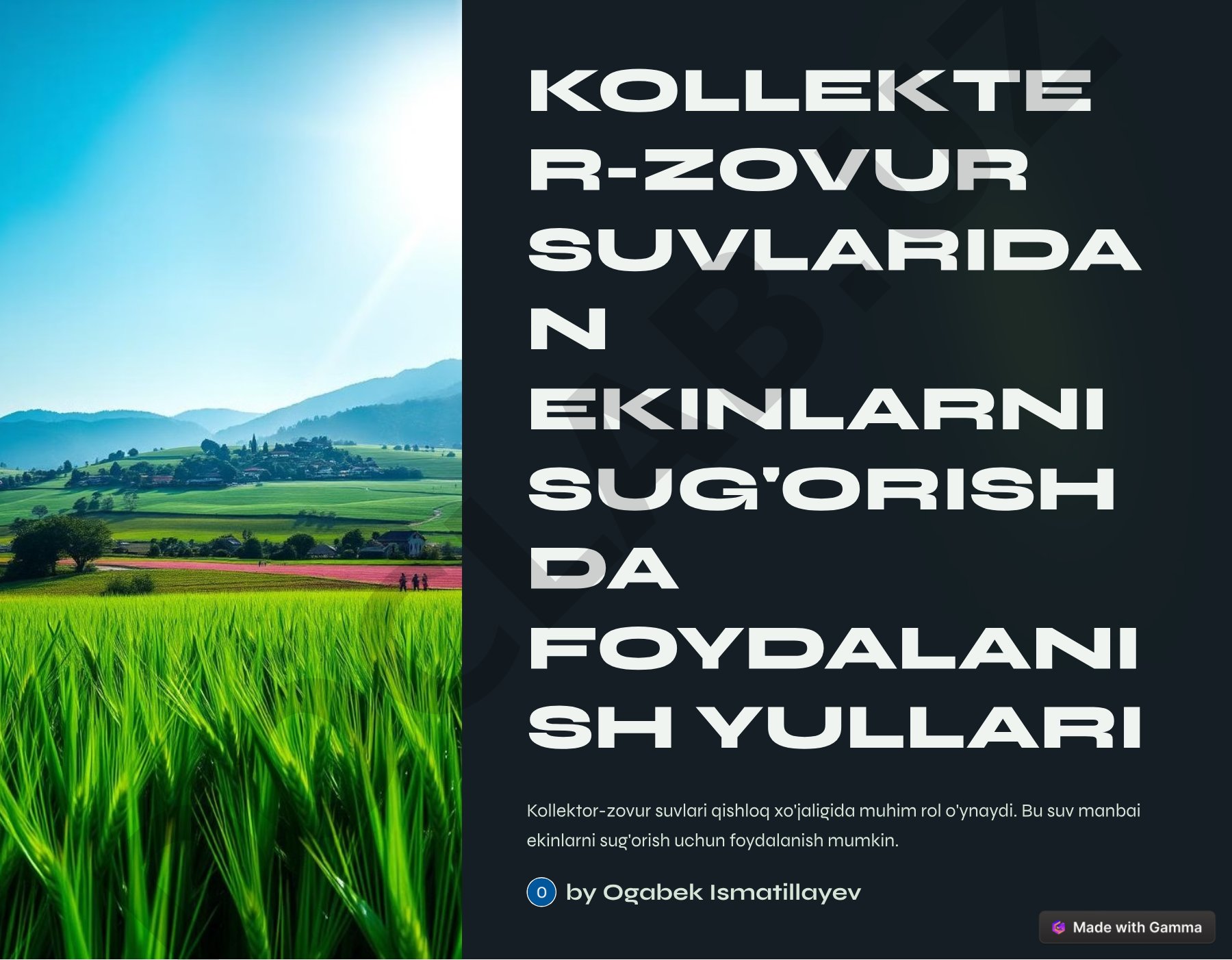 Kollektor-zovur suvlaridan ekinlarni sug'orishda foydalanish usullari