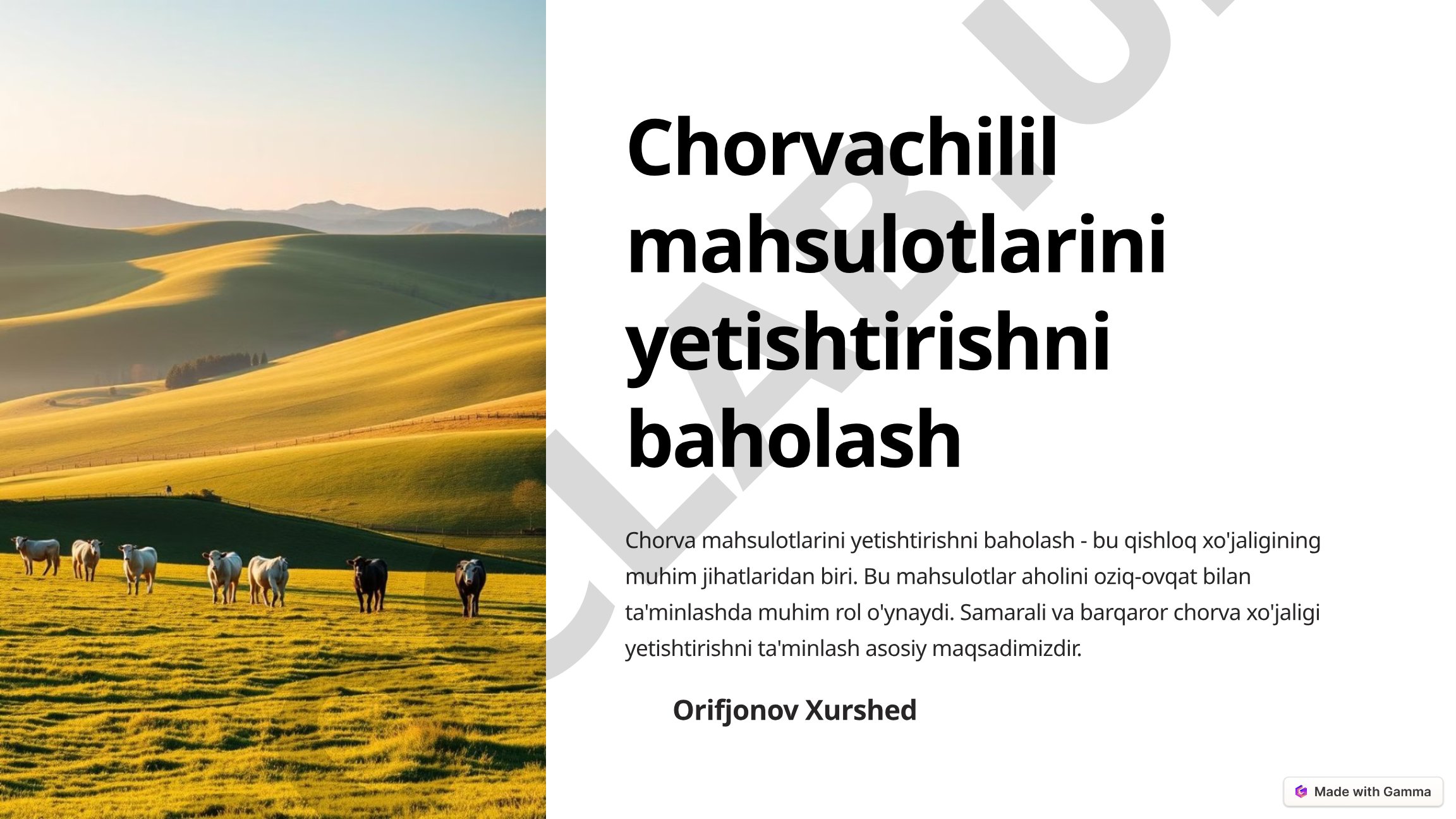 Chorvachilil mahsulotlarini yetishtirishni baholash