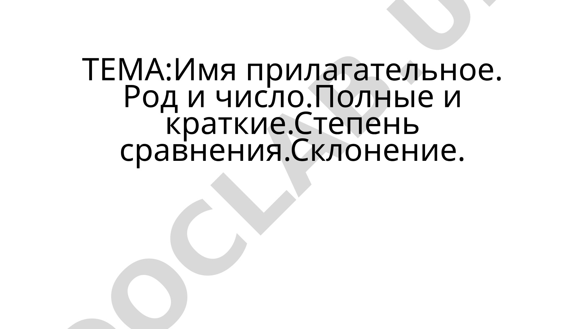 Имя прилагательное. Род и число. Полные и краткие. Степень сравнения. Склонение