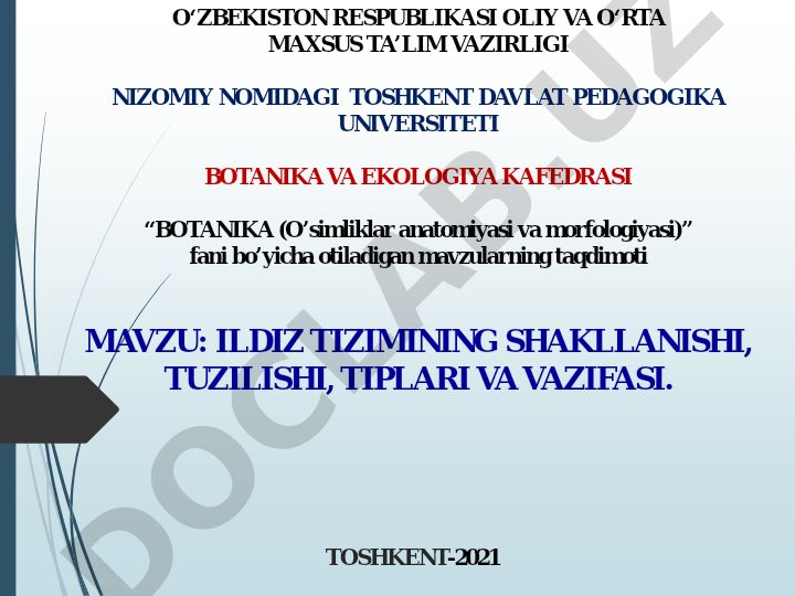 Ildiz tizimining shakllanishi, tuzilishi, tiplari va vazifasi