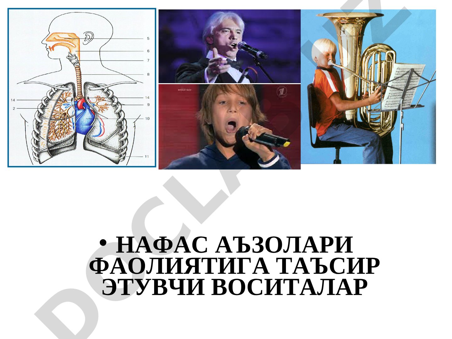 Нафас аъзолари фаолиятига таъсир этувчи воситалар