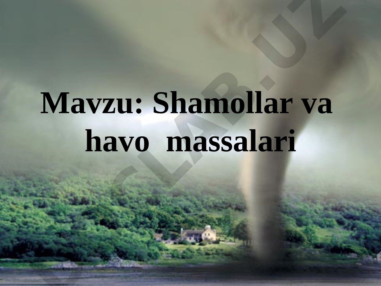 Shamollar va havo massalari