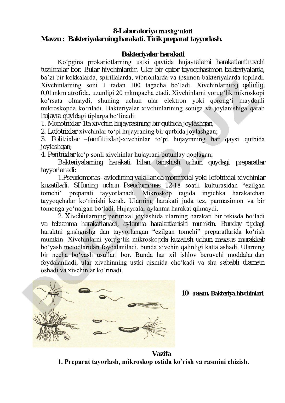 Bakteriyalarning harakati. Tirik preparat tayyorlash