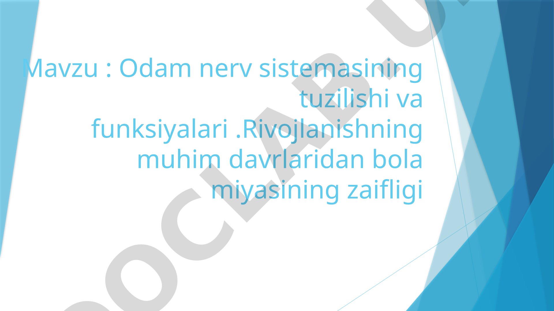 Odam nerv sistemasining tuzilishi va funksiyalari
