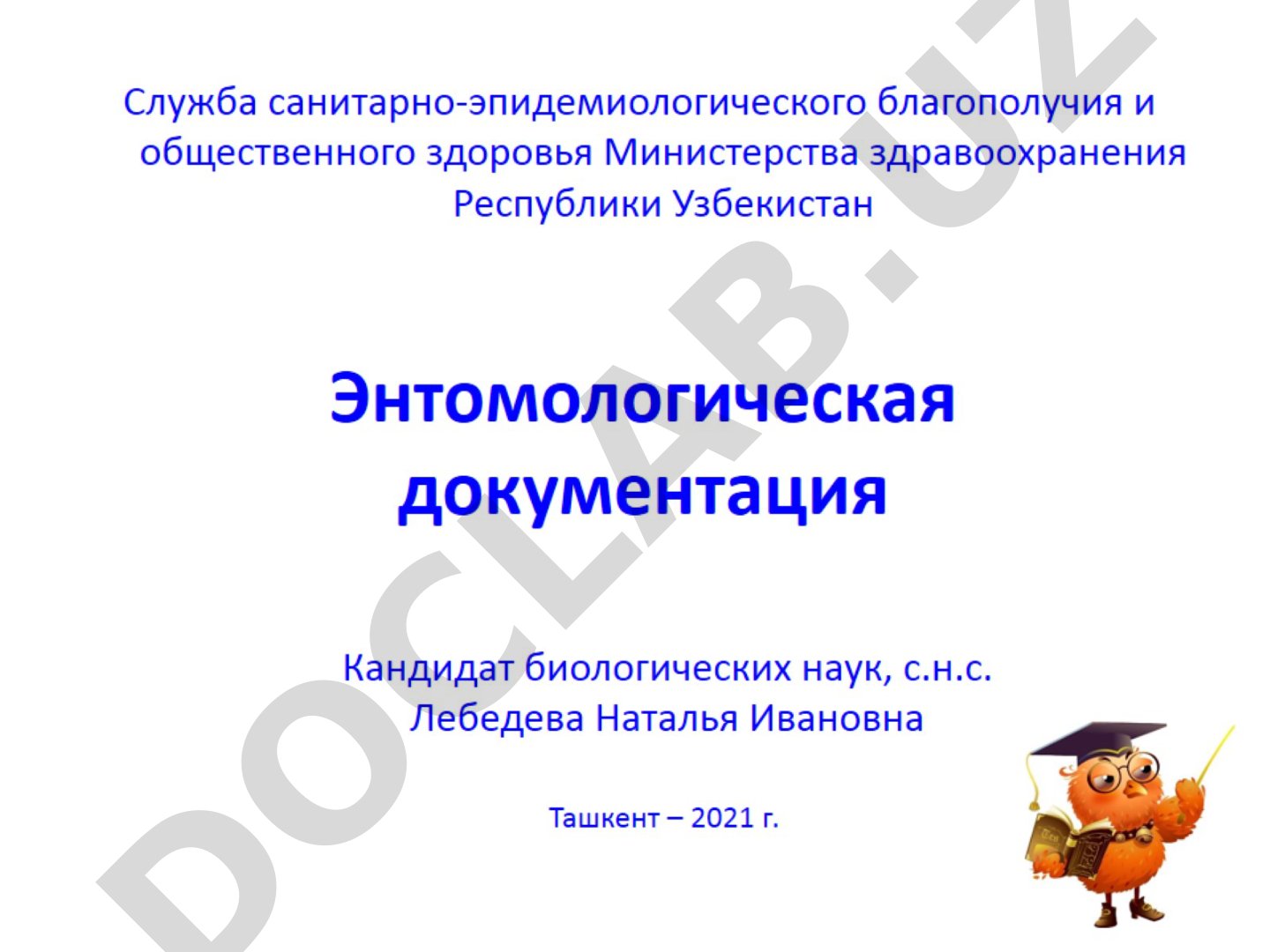 Слайды по энтомологической документации с изображениями