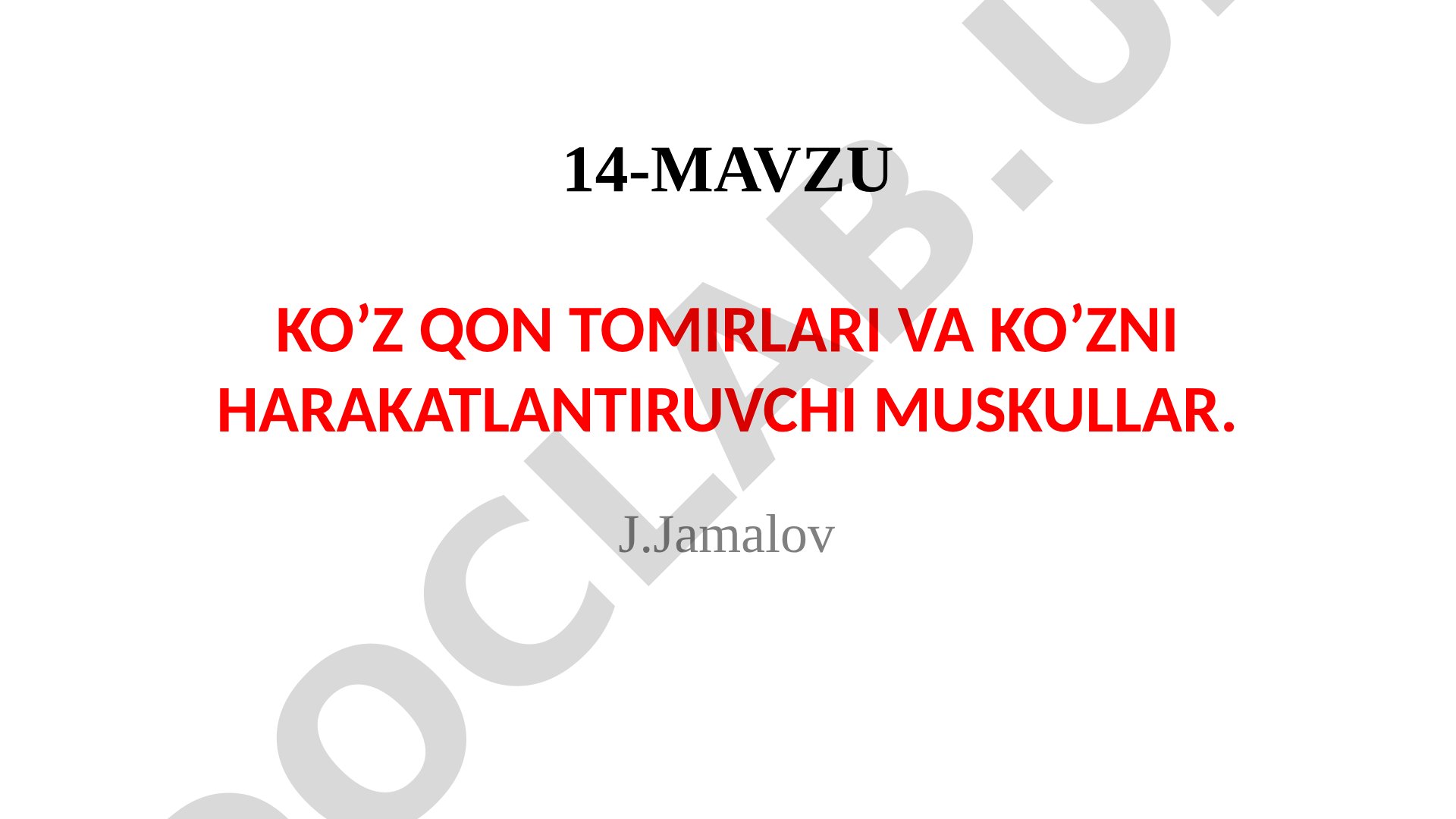 Ko'z qon tomirlari va ko'zni harakatlantiruvchi muskullar