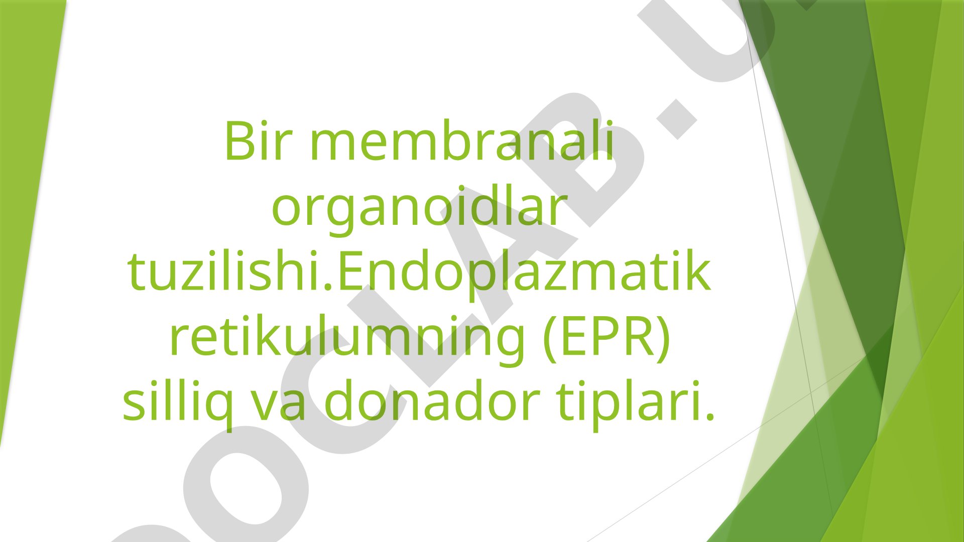 Bir membranali organoidlar tuzilishi