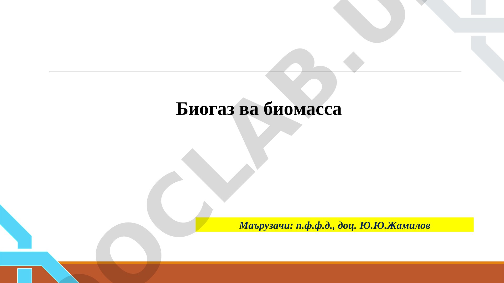 Биогаз ва биомасса