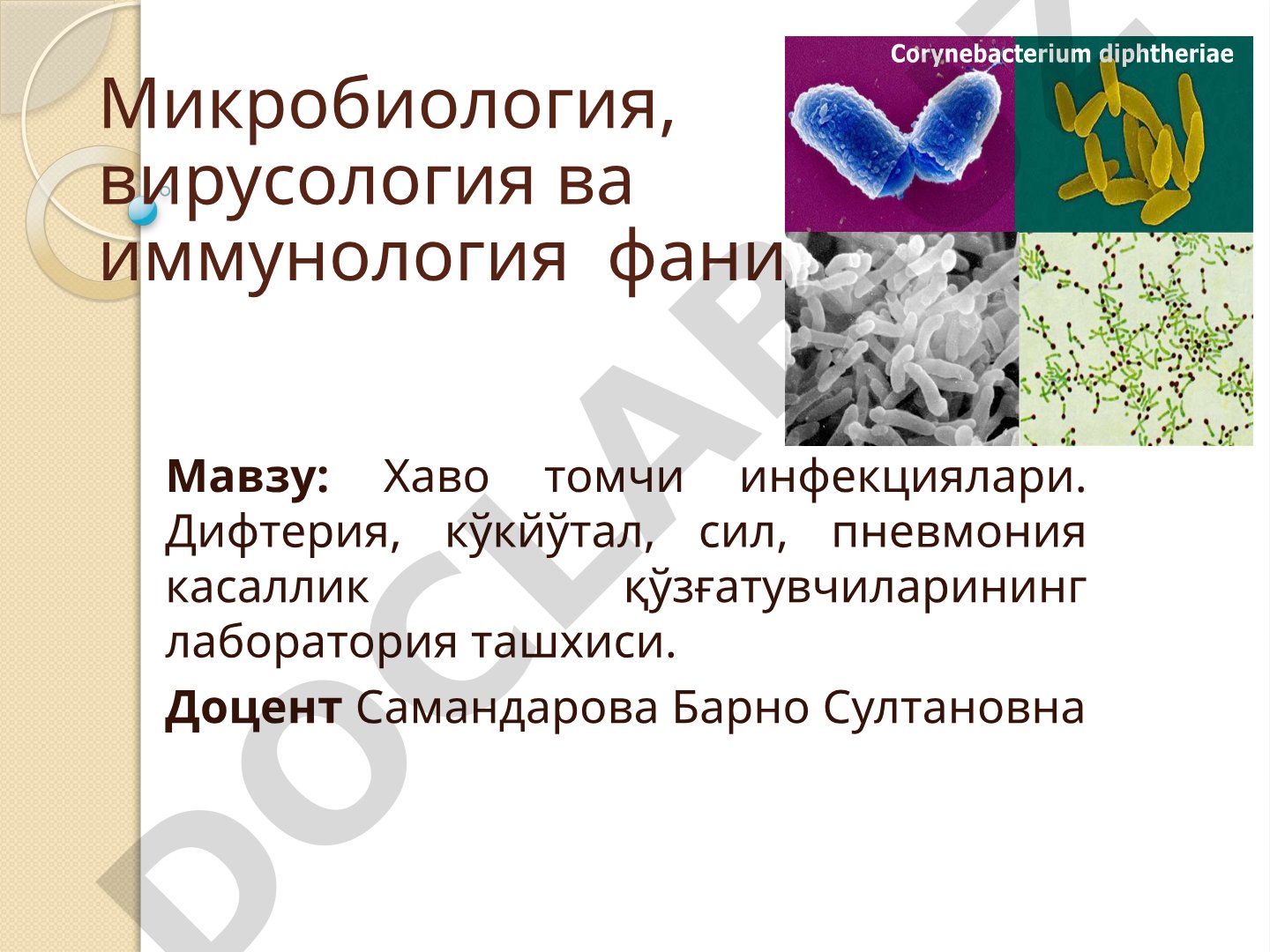 Хаво томчи инфекциялари. Дифтерия, кўкйўтал, сил, пневмония касаллик қўзғатувчиларининг лаборатория ташхиси
