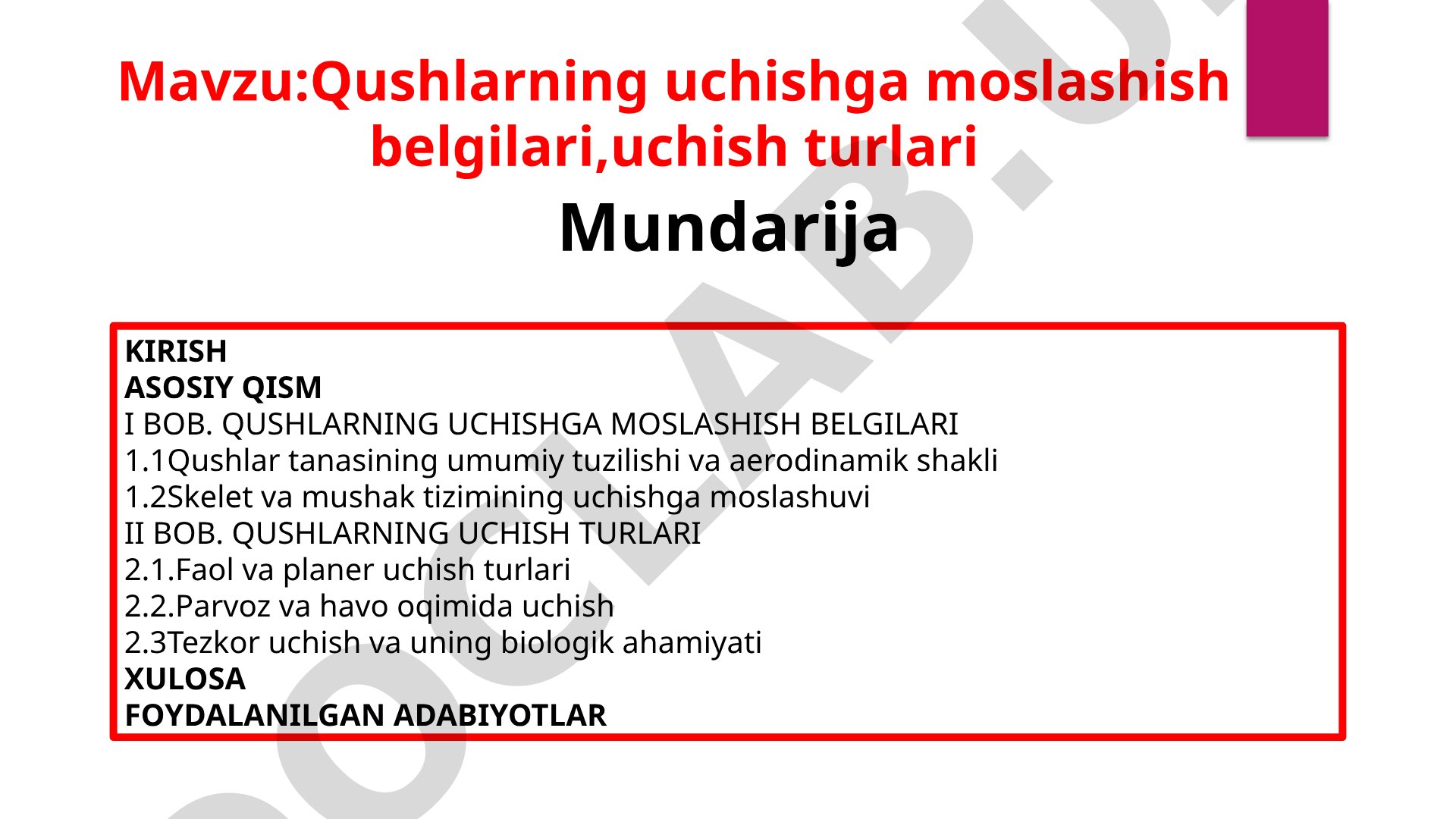 Qushlarning uchishga moslashish belgilari, uchish turlari