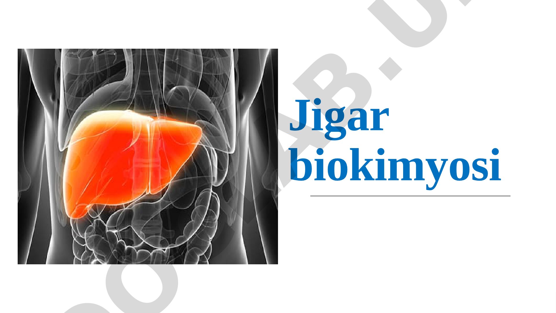 Jigar biokimyosi