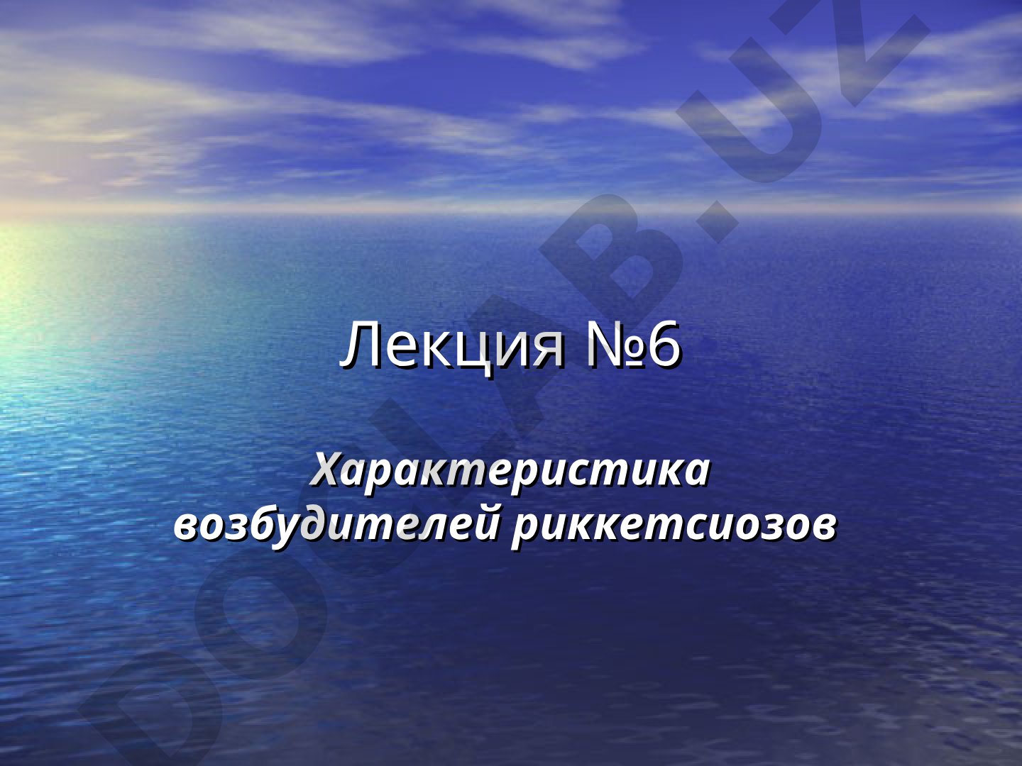 Характеристика возбудителей риккетсиозов