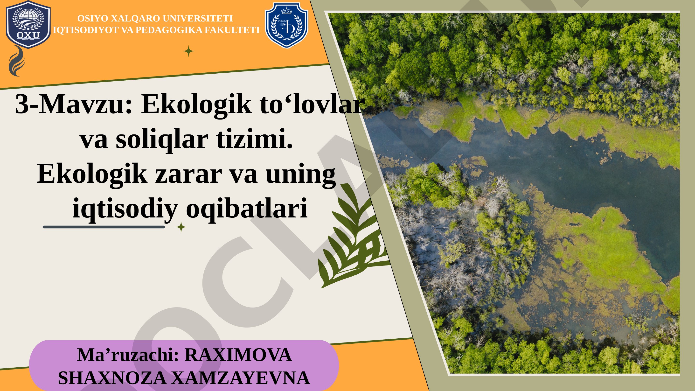 Ekologik to‘lovlar va soliqlar tizimi