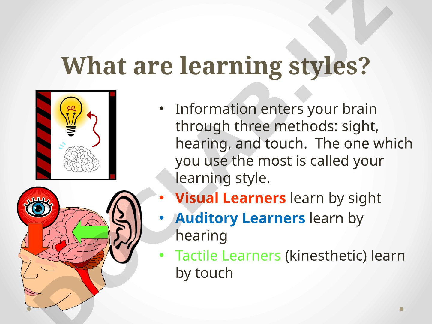 Learning Styles: Visual, Auditory, and Tactile Learners