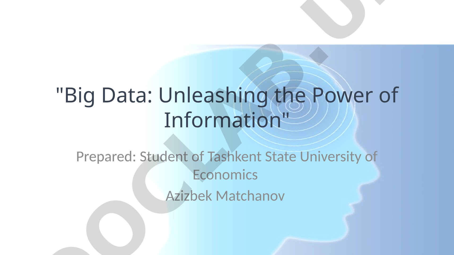 Big Data: Unleashing the Power of Information