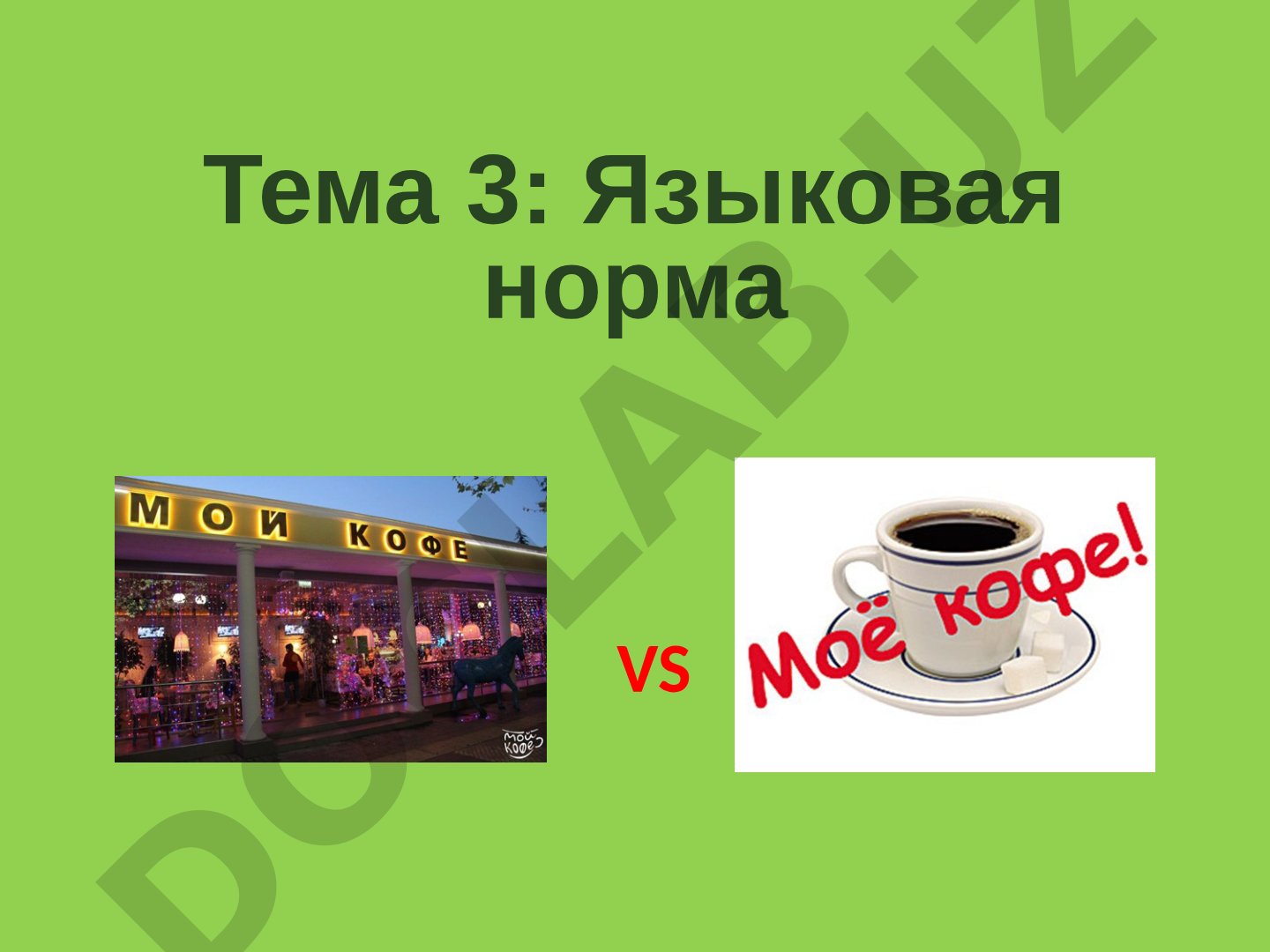 Понятие языковой нормы, её источники, типы норм и процессы кодификации
