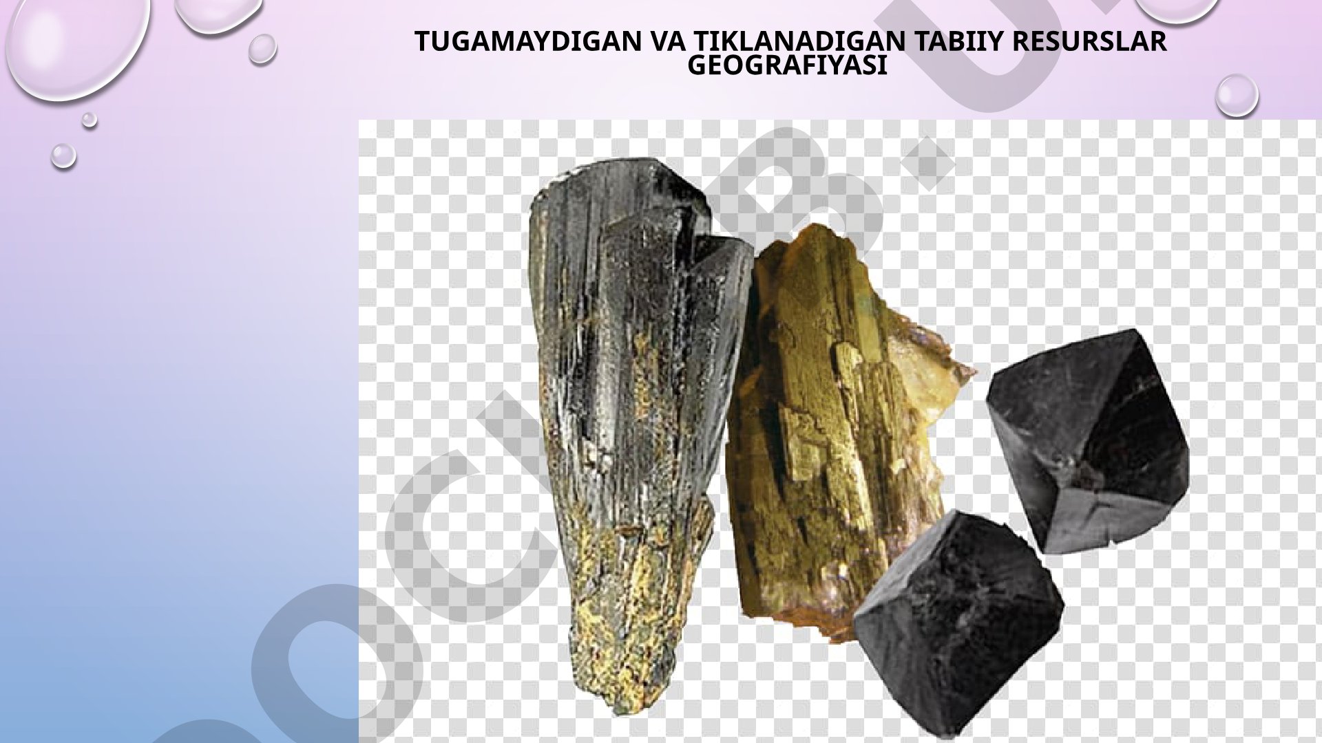 Tugamaydigan va tiklanadigan tabiiy resurslar geografiyasi