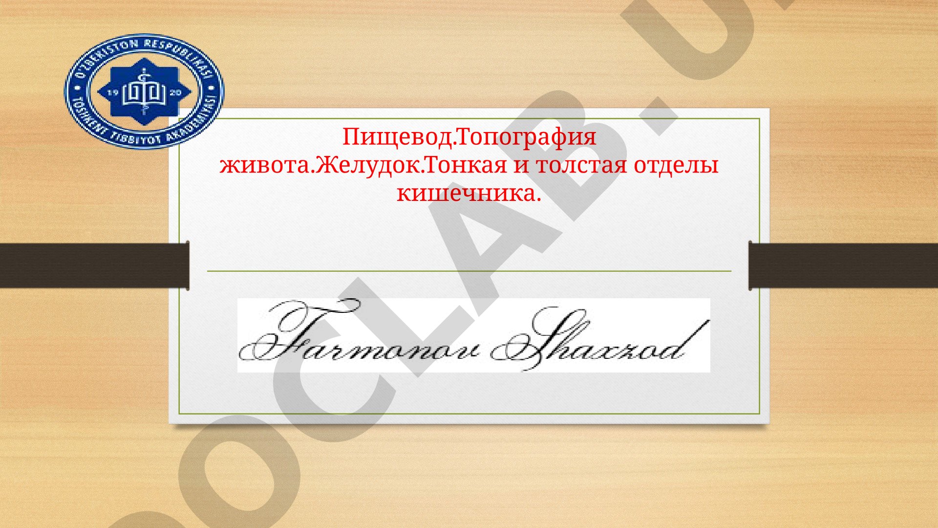 Пищевод.Топография живота.Желудок.Тонкая и толстая отделы кишечника