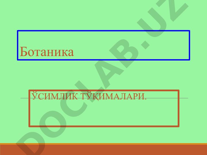 Ботаника ЎСИМЛИК ТӮҚИМАЛАРИ