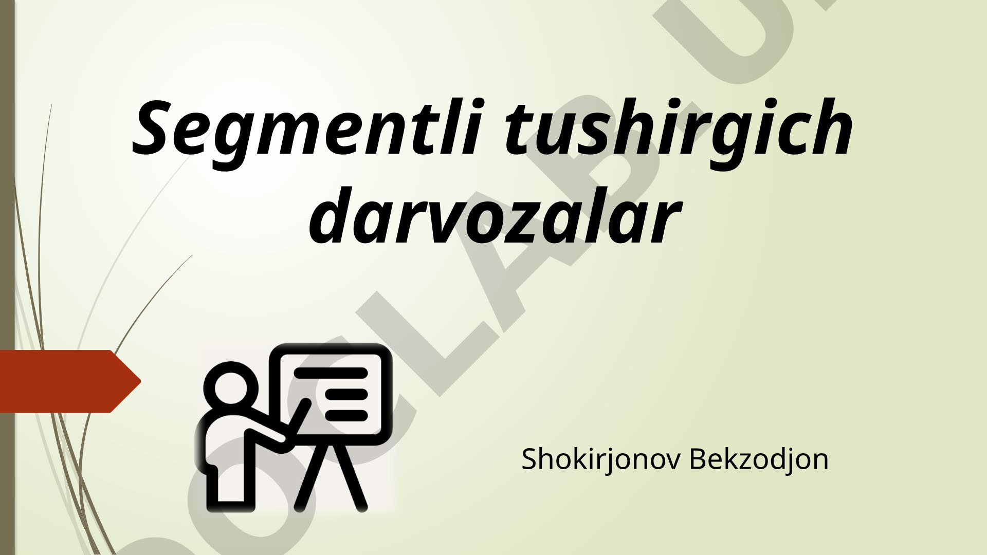 Segmentli tushirgich darvozalar