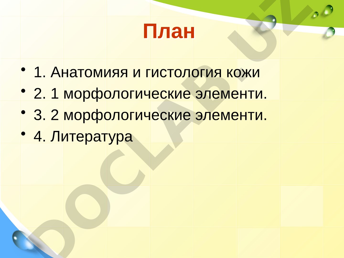 Морфология дерматозов
