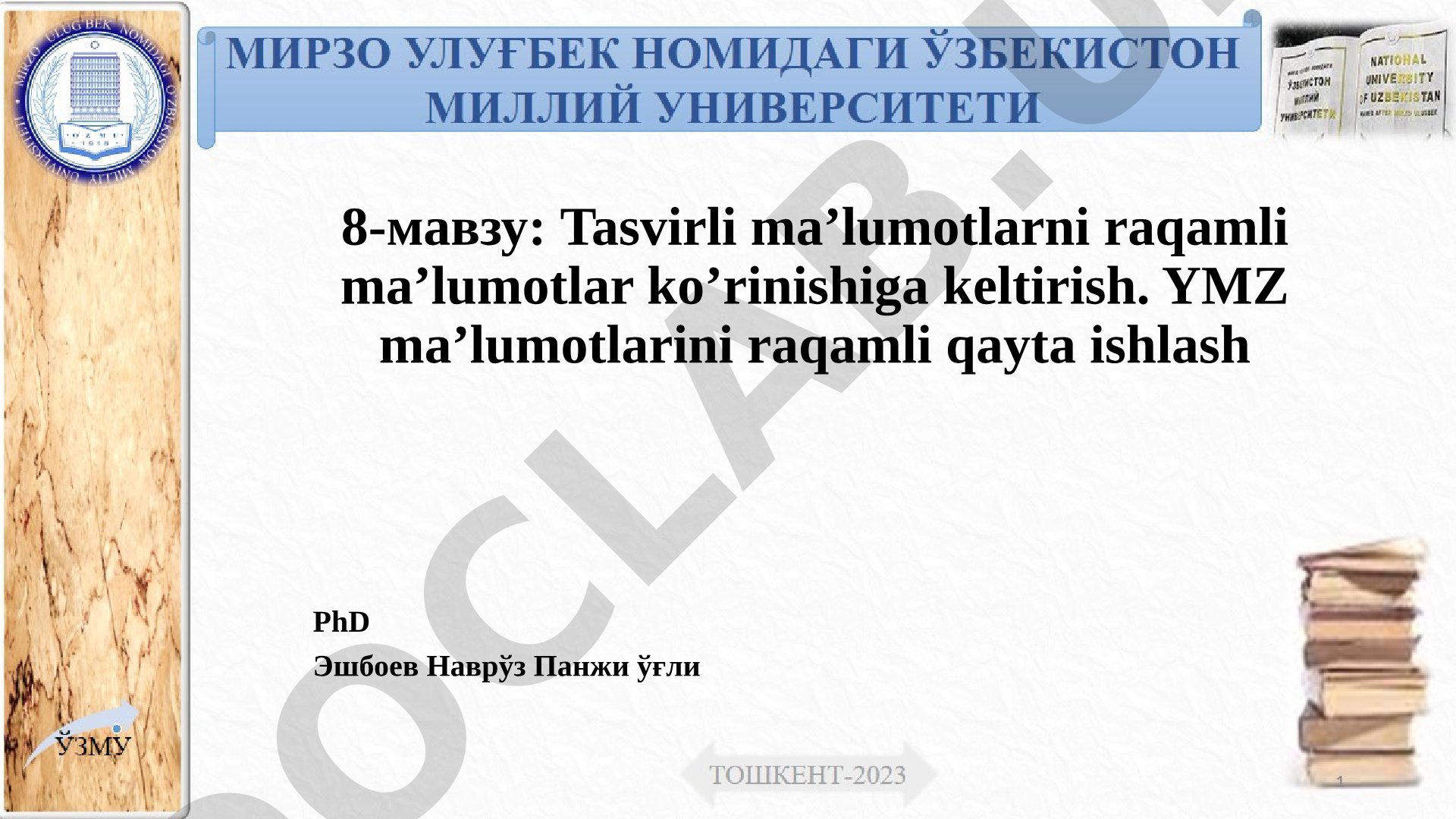 Tasvirli ma’lumotlarni raqamli ma’lumotlar ko’rinishiga keltirish. YMZ ma’lumotlarini raqamli qayta ishlash