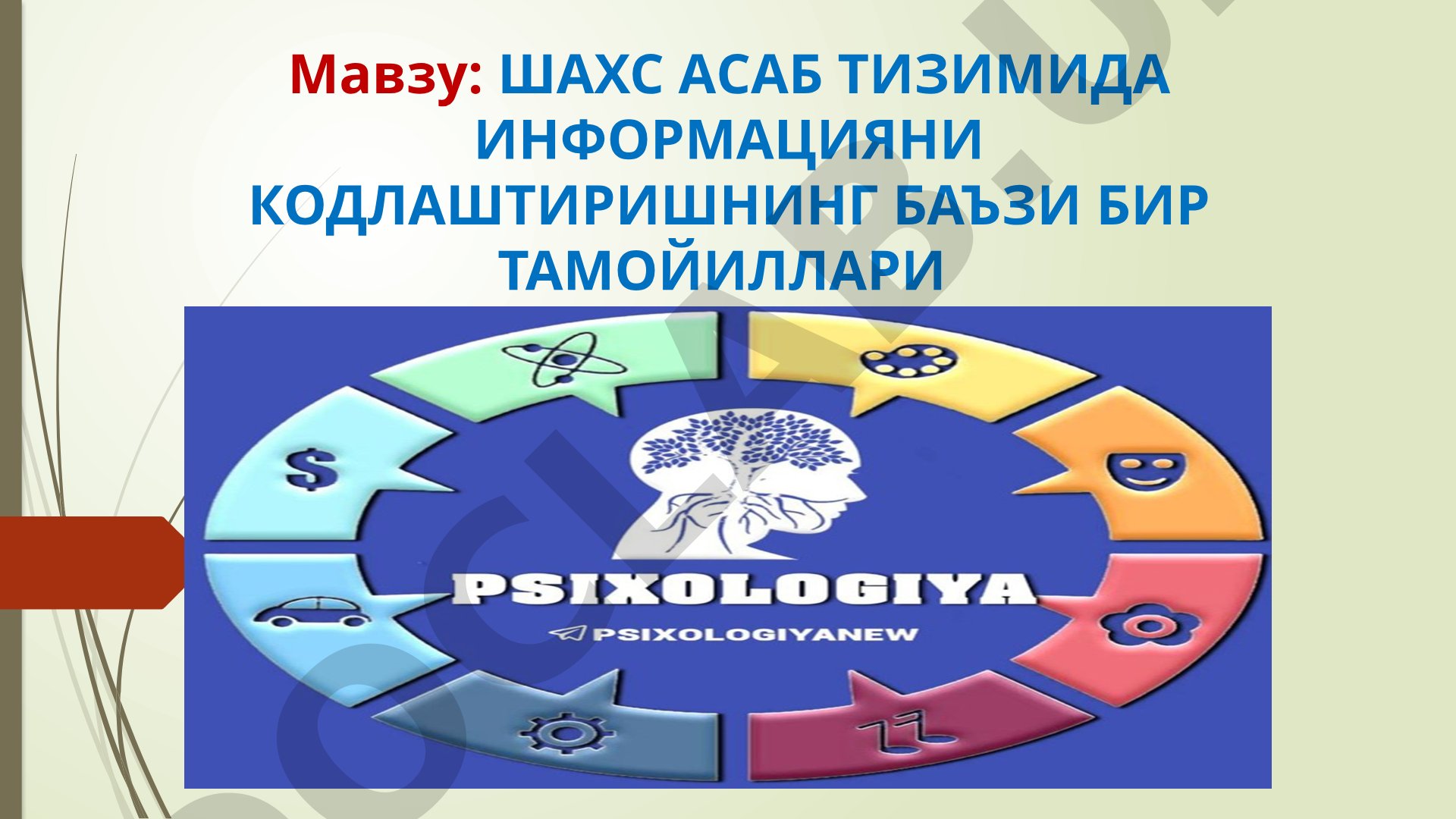 ШАХС АСАБ ТИЗИМИДА ИНФОРМАЦИЯНИ КОДЛАШТИРИШНИНГ БАЪЗИ БИР ТАМОЙИЛЛАРИ