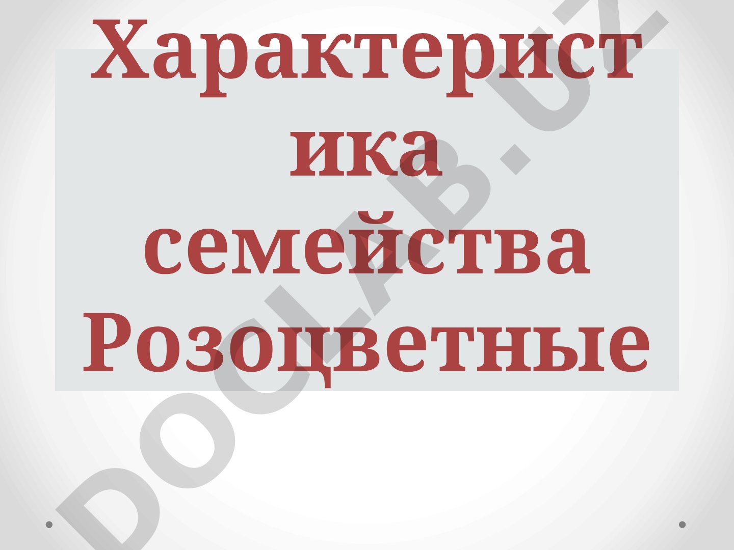 Характеристика семейства Розоцветные