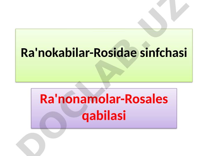 Ra'nodoshlar oilasi va uning tarkibi
