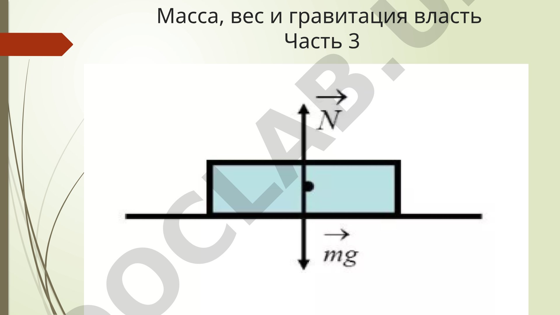 Масса, вес и гравитация