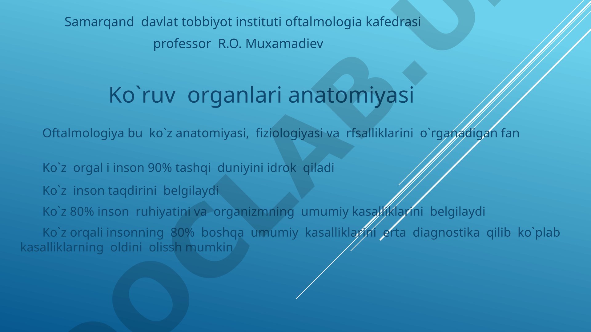 Ko'ruv organlari anatomiyasi