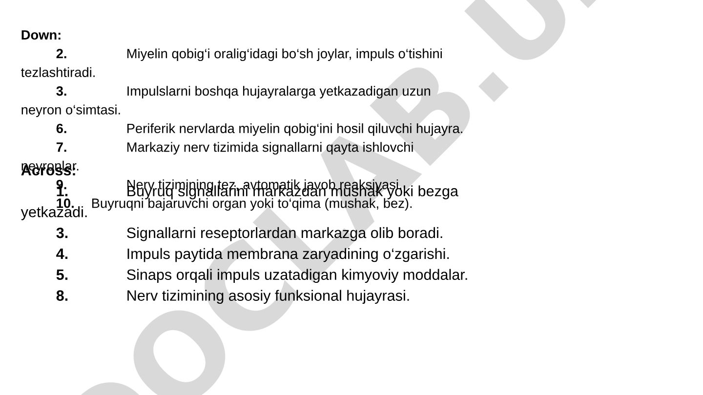 Nerv tizimi va neyronlar haqida krossvord
