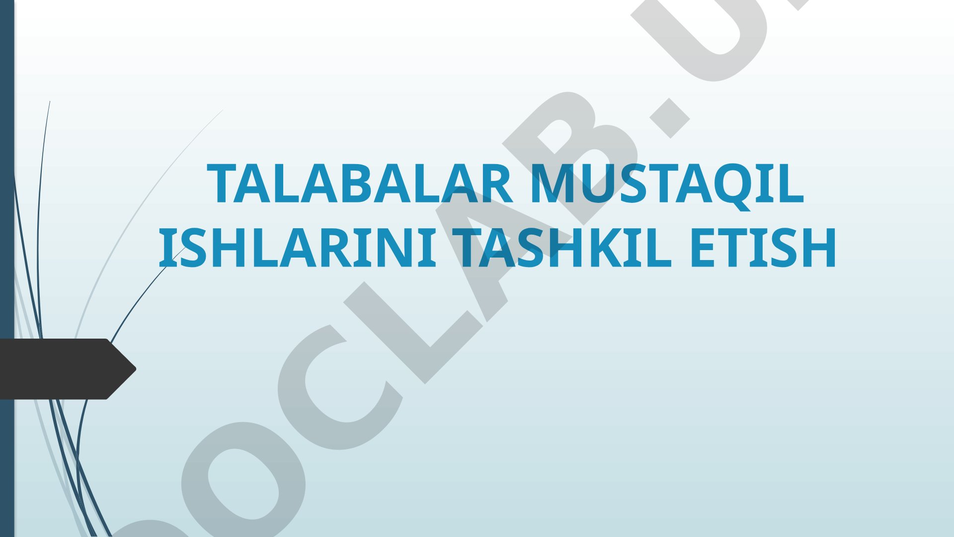 Talabalar mustaqil ishlarini tashkil etish