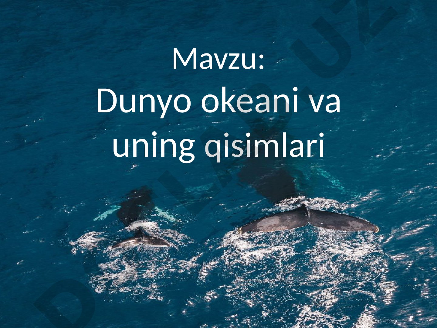 Dunyo okeani va uning qisimlari