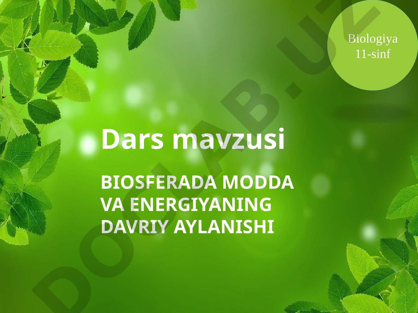 Biosferada modda va energiyaning davriy aylanishi