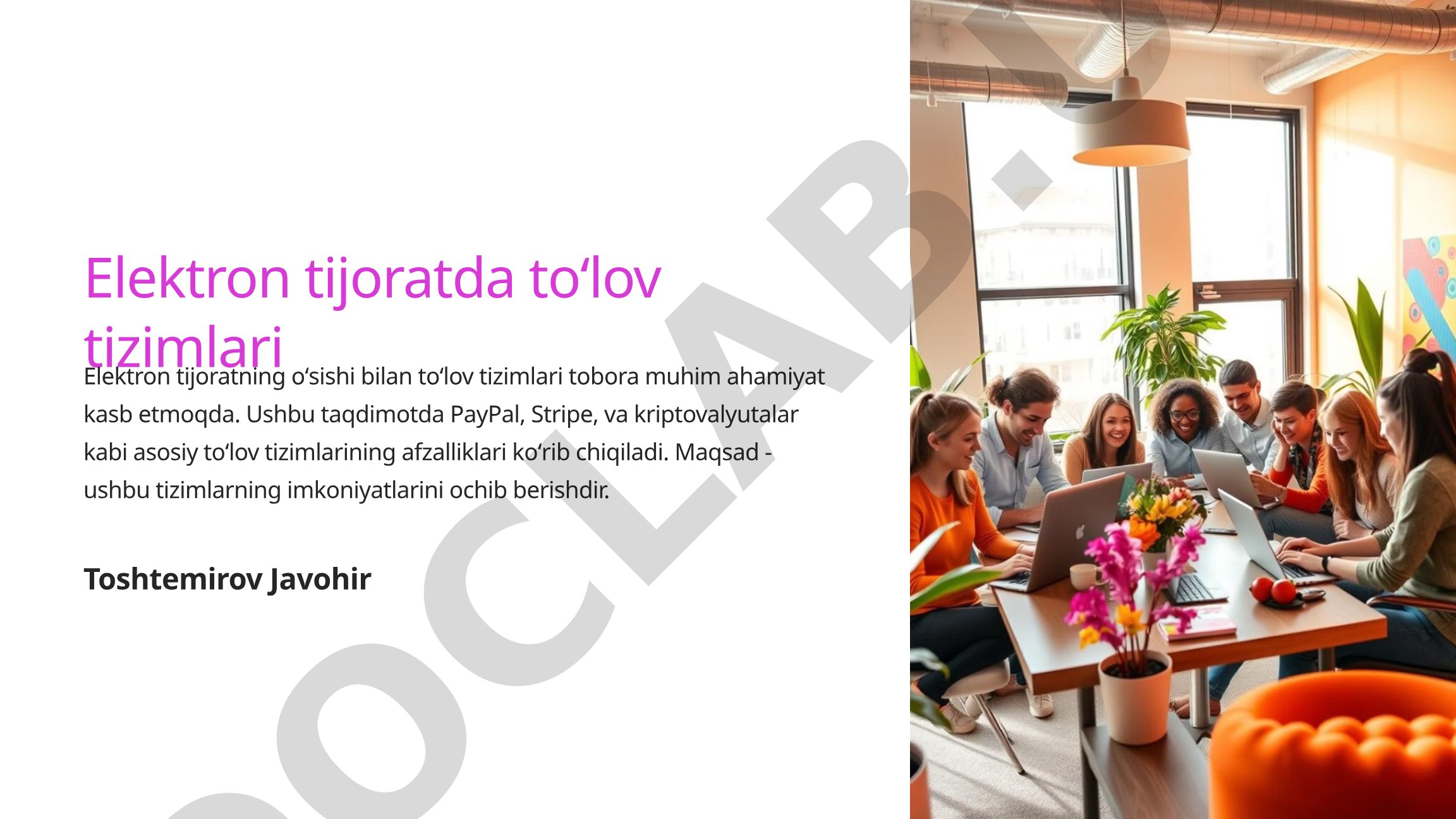 Elektron tijoratda toʻlov tizimlari