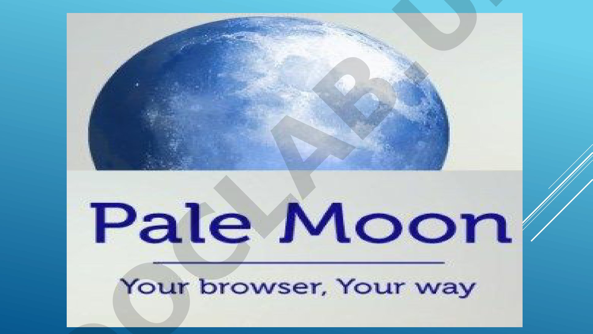 Pale Moon brauzeri xususiyatlari