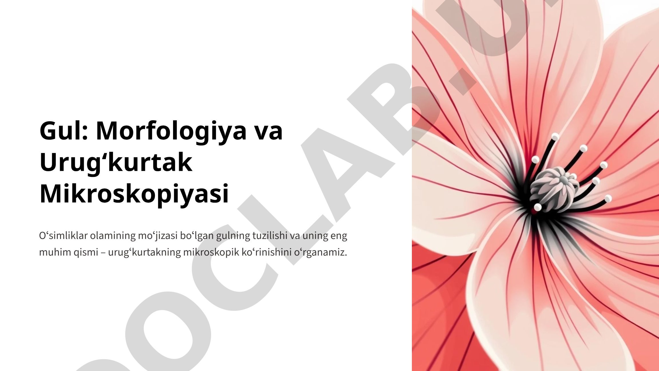 Gul: Morfologiya va Urugʻkurtak Mikroskopiyasi