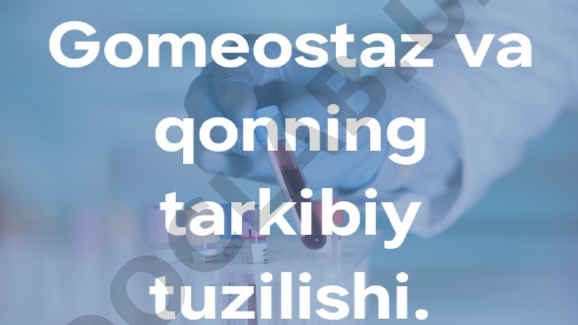 Rasmlar bilan taqdimot