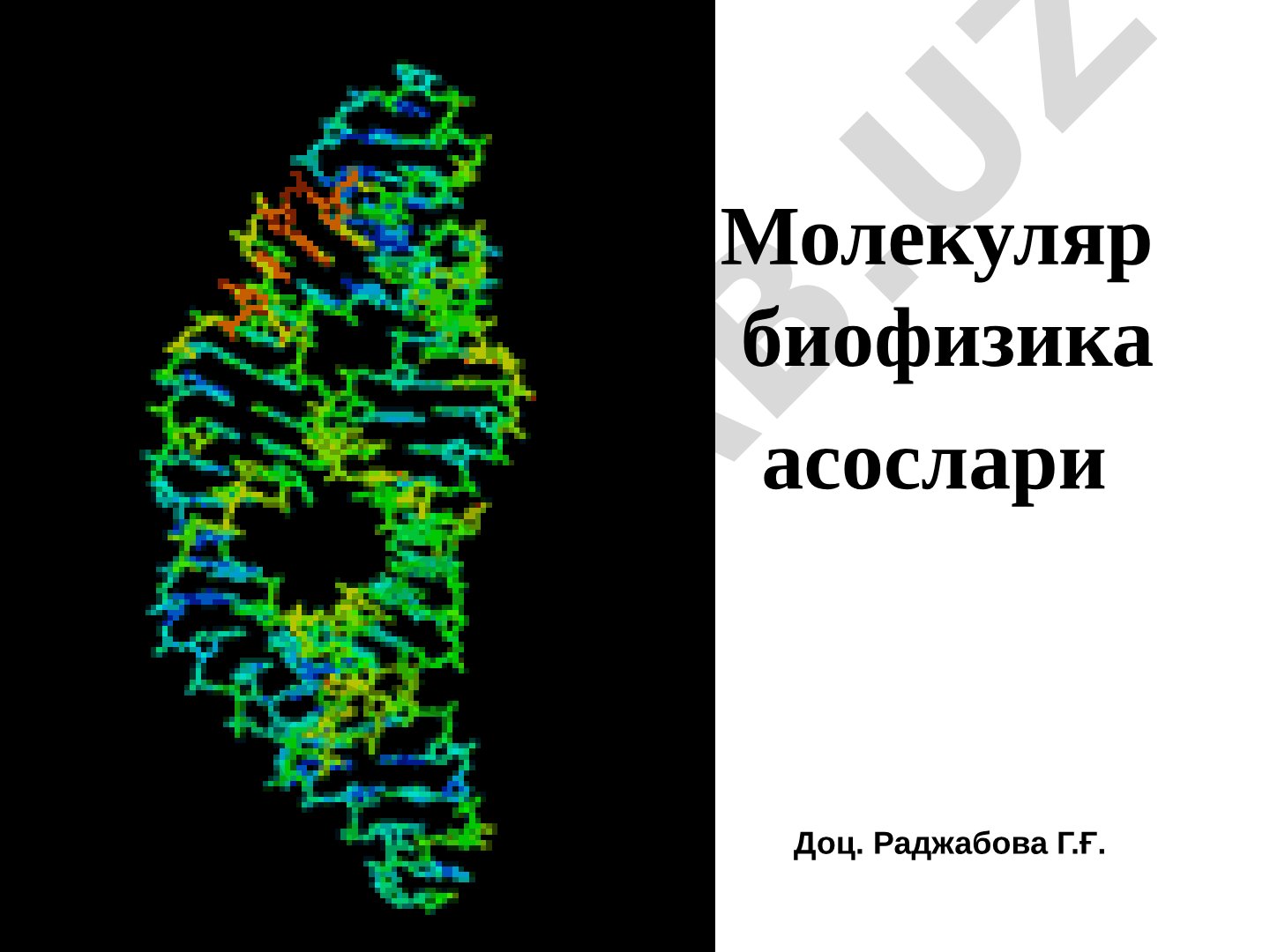 Молекуляр биофизика асослари