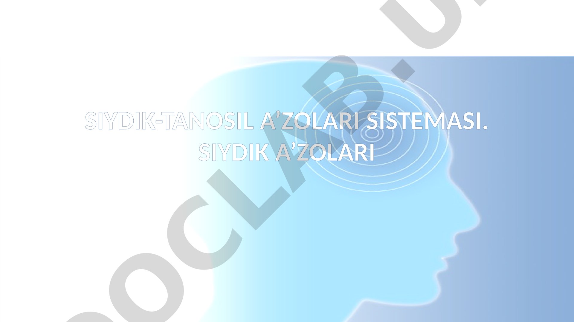 Siydik-tanosil a'zolari sistemasi. Siydik a'zolari
