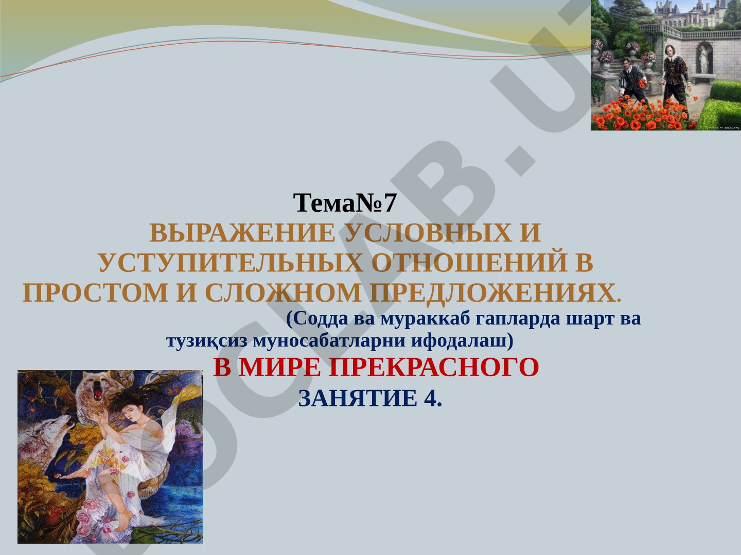 Выражение условных и уступительных отношений в простом и сложном предложениях