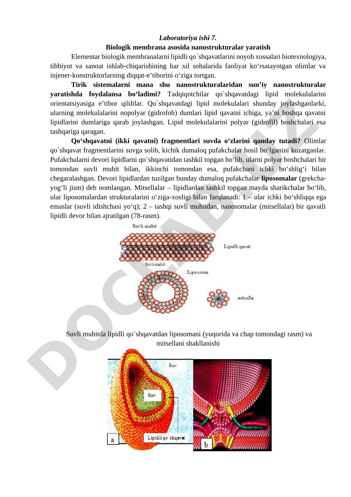 Biologik membrana asosida nanostrukturalar yaratish