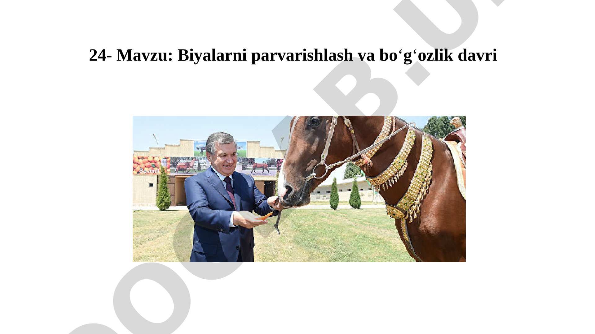 Biyalarni parvarishlash va boʻgʻozlik davri