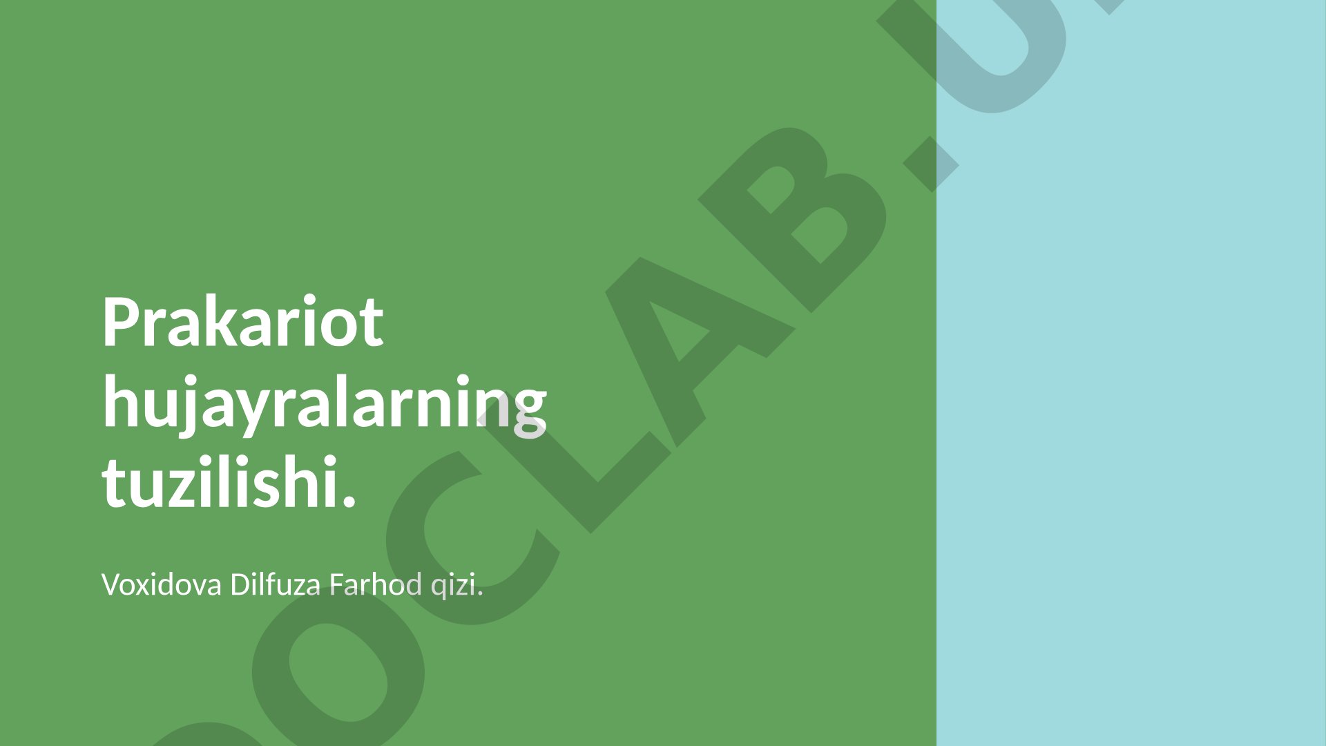 Prakariot hujayralarning tuzilishi
